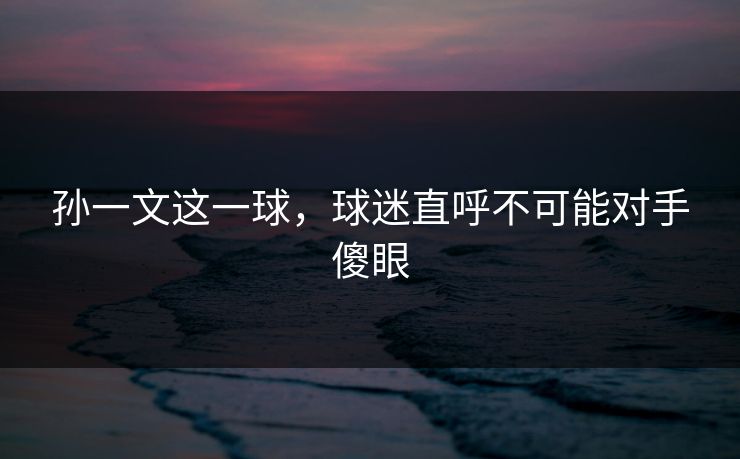 孙一文这一球，球迷直呼不可能对手傻眼