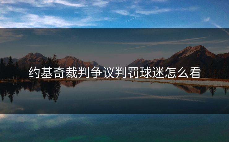 约基奇裁判争议判罚球迷怎么看