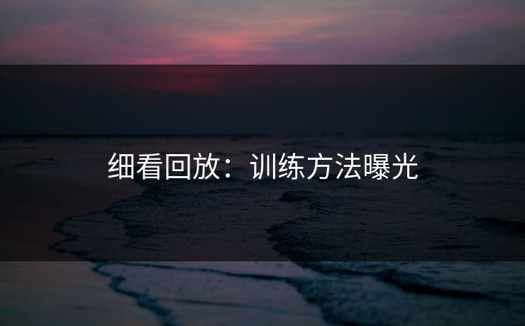 细看回放：训练方法曝光